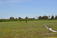 Venice kite festival_0088